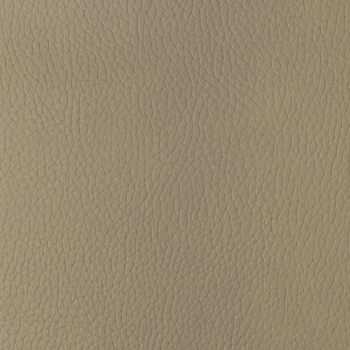 Kravet Design-Sugarmaple-16