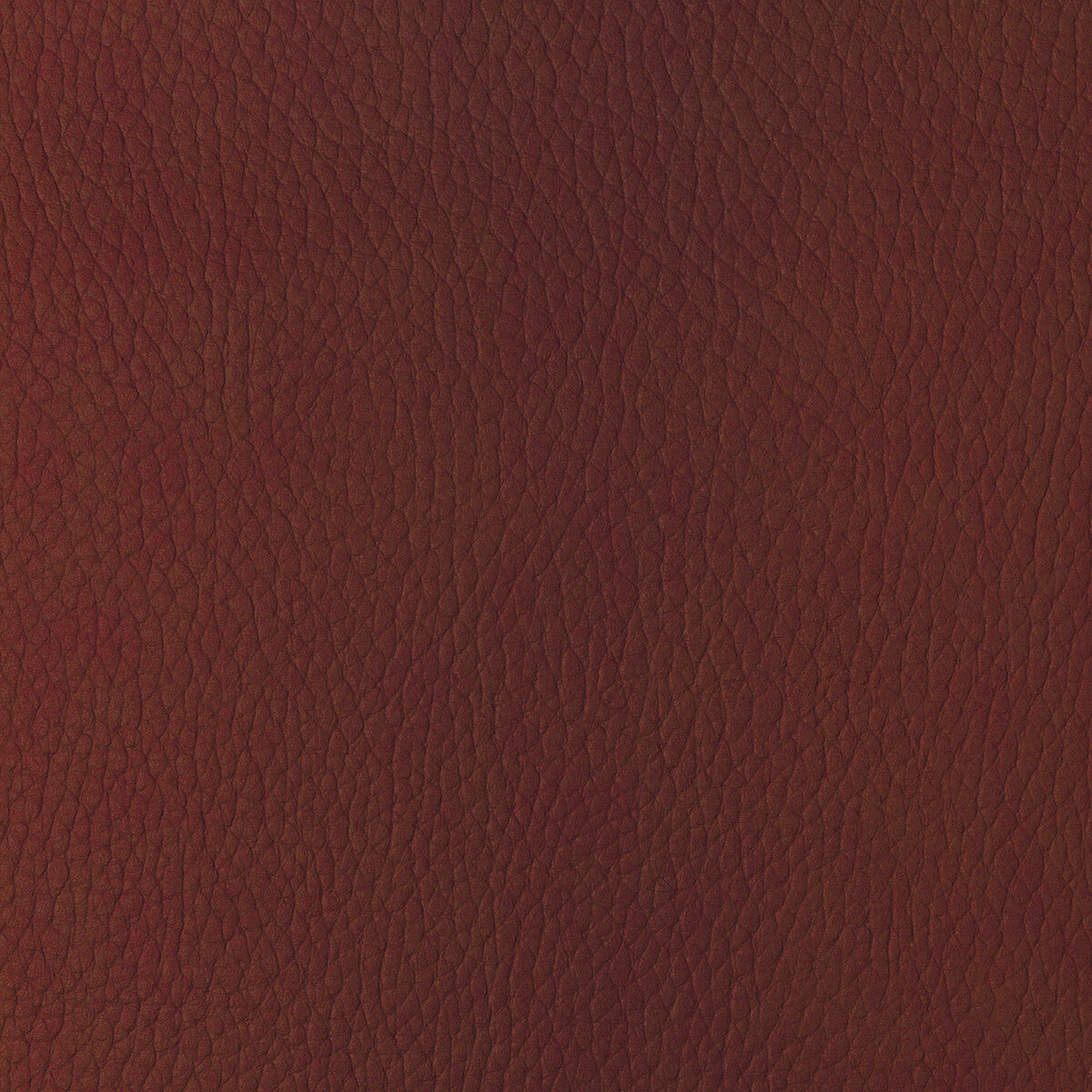 Kravet Design-Sugarmaple-19