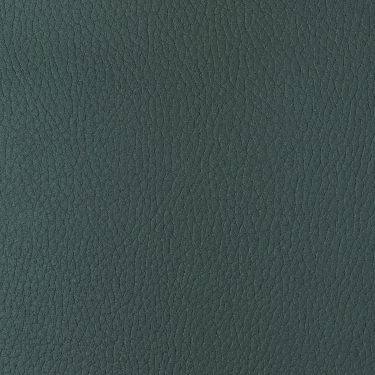 Kravet Design-Sugarmaple-35