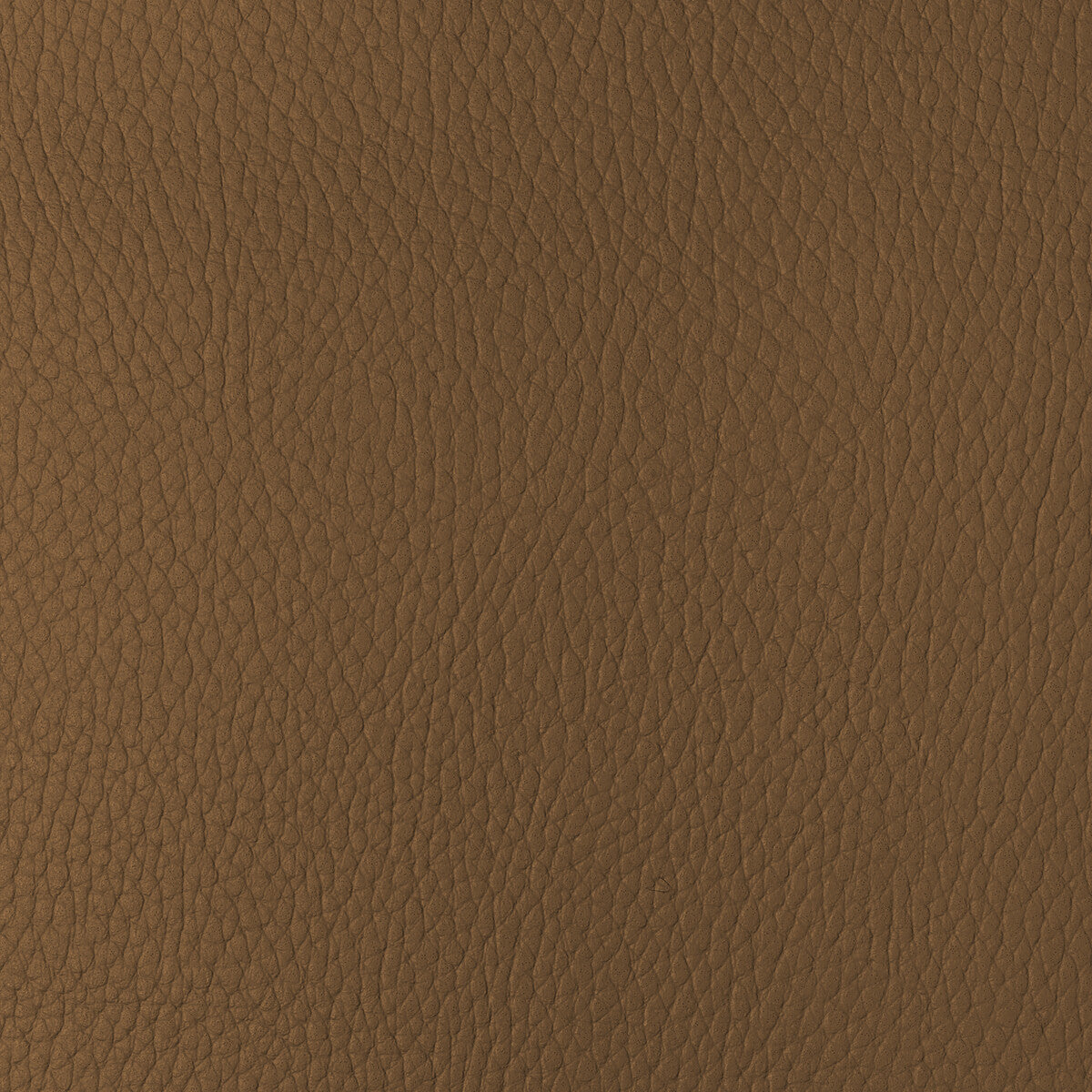 Kravet Design-Sugarmaple-4