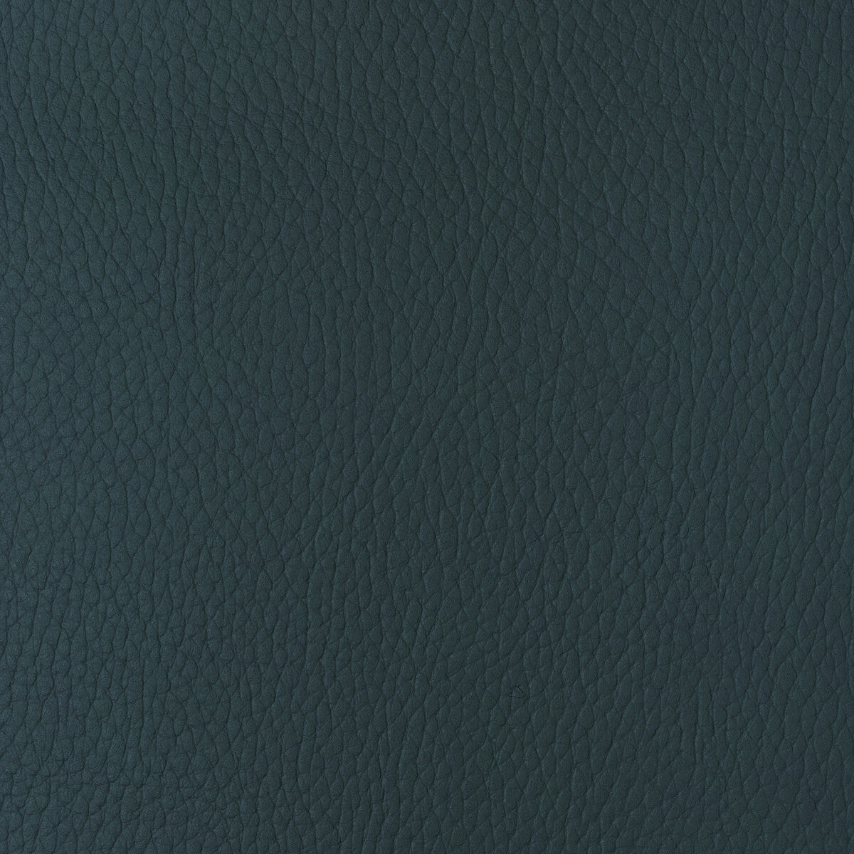 Kravet Design-Sugarmaple-5