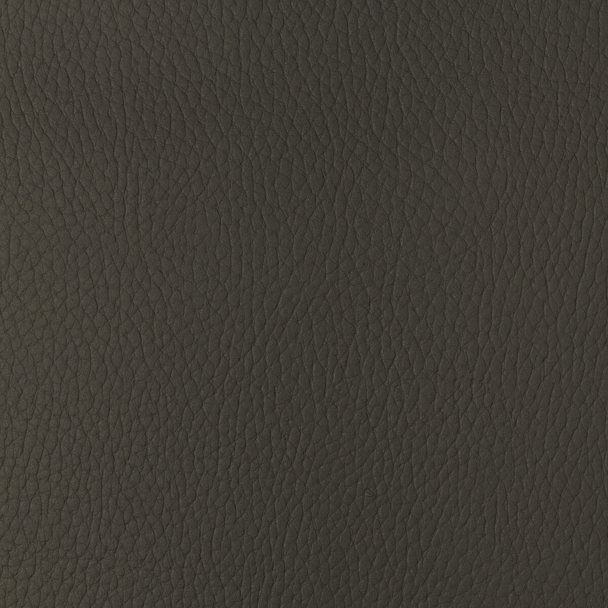 Kravet Design-Sugarmaple-6