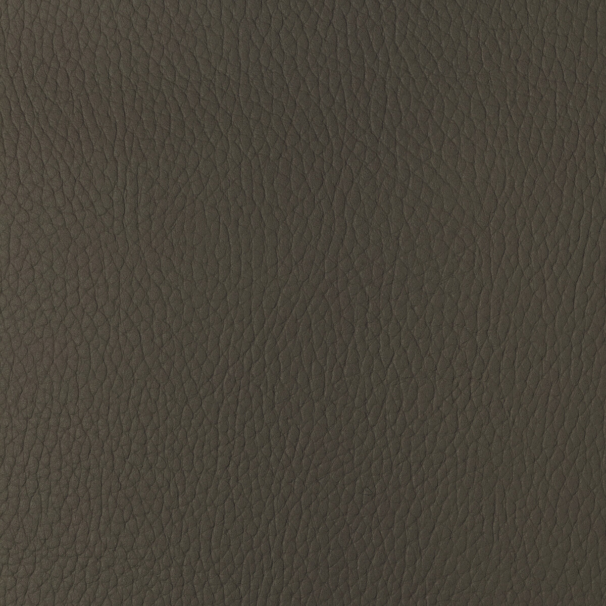 Kravet Design-Sugarmaple-616