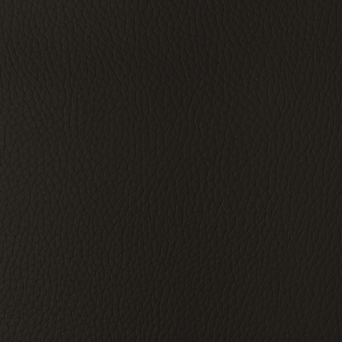 Kravet Design-Sugarmaple-66