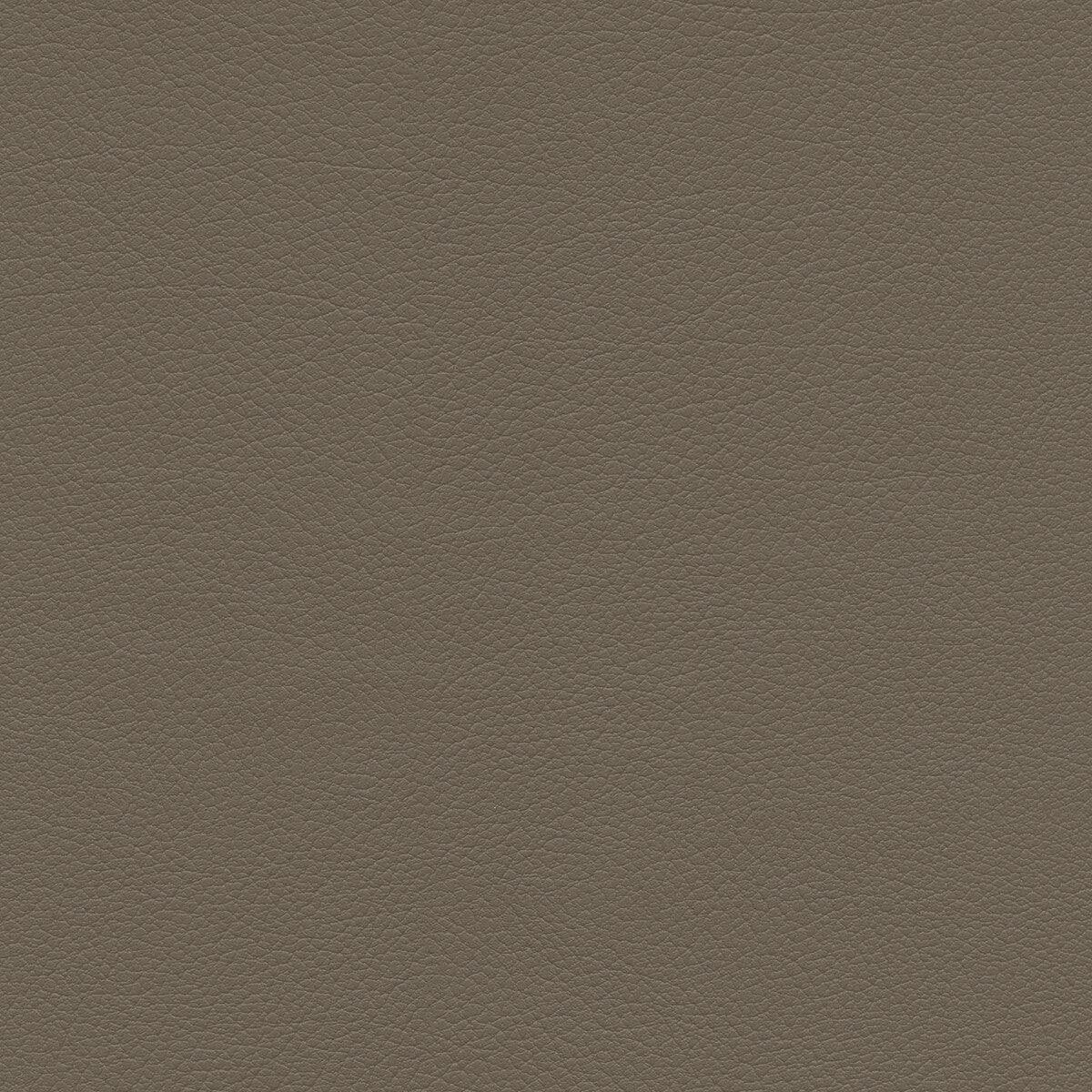 Kravet Design-Sumac-11