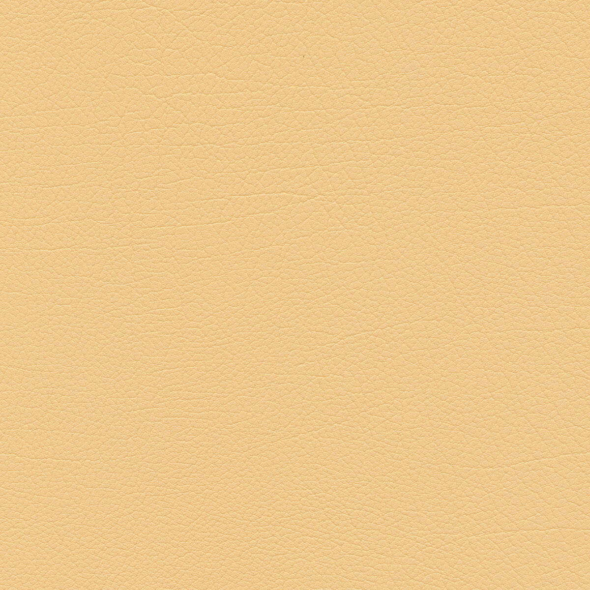 Kravet Design-Sumac-16