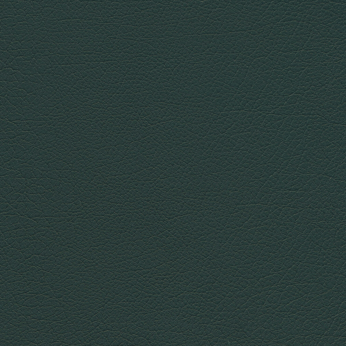 Kravet Design-Sumac-35