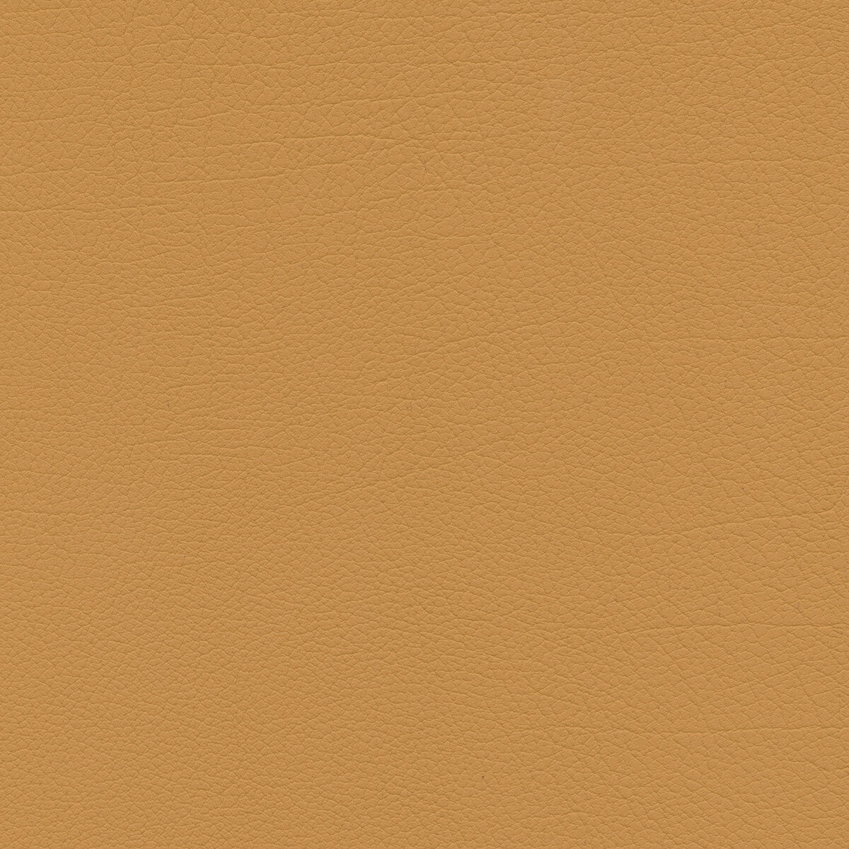 Kravet Design-Sumac-64