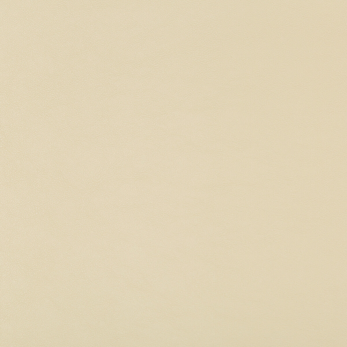 Kravet Design-Swaps-116