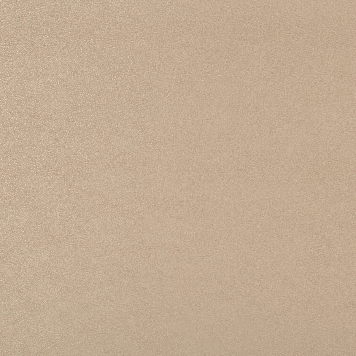 Kravet Design-Swaps-16