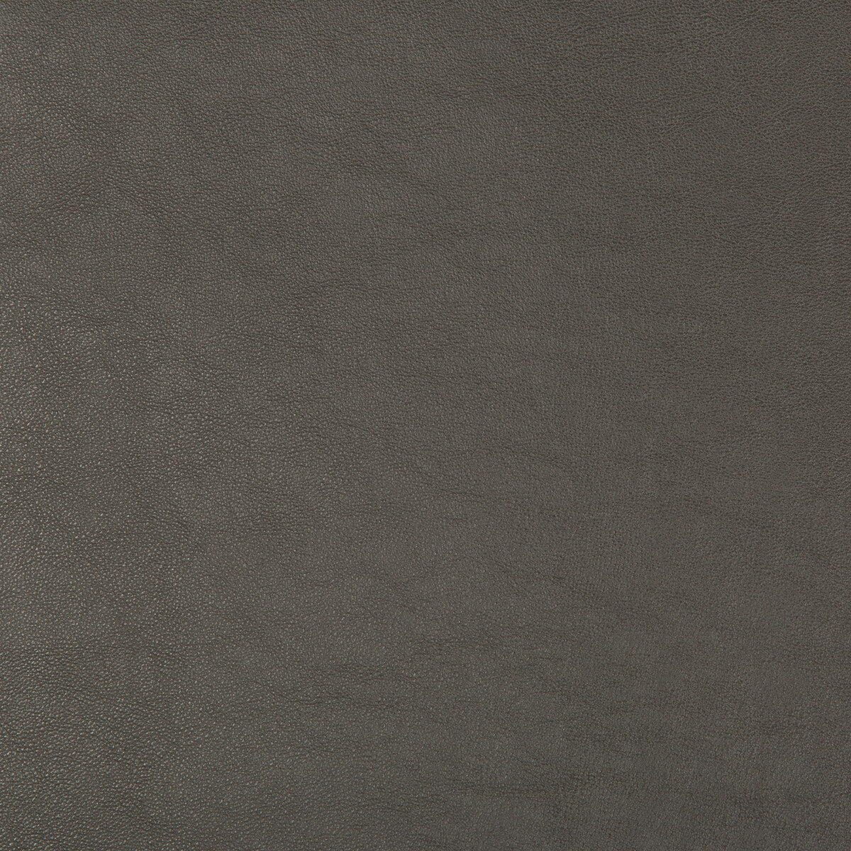 Kravet Design-Swaps-21