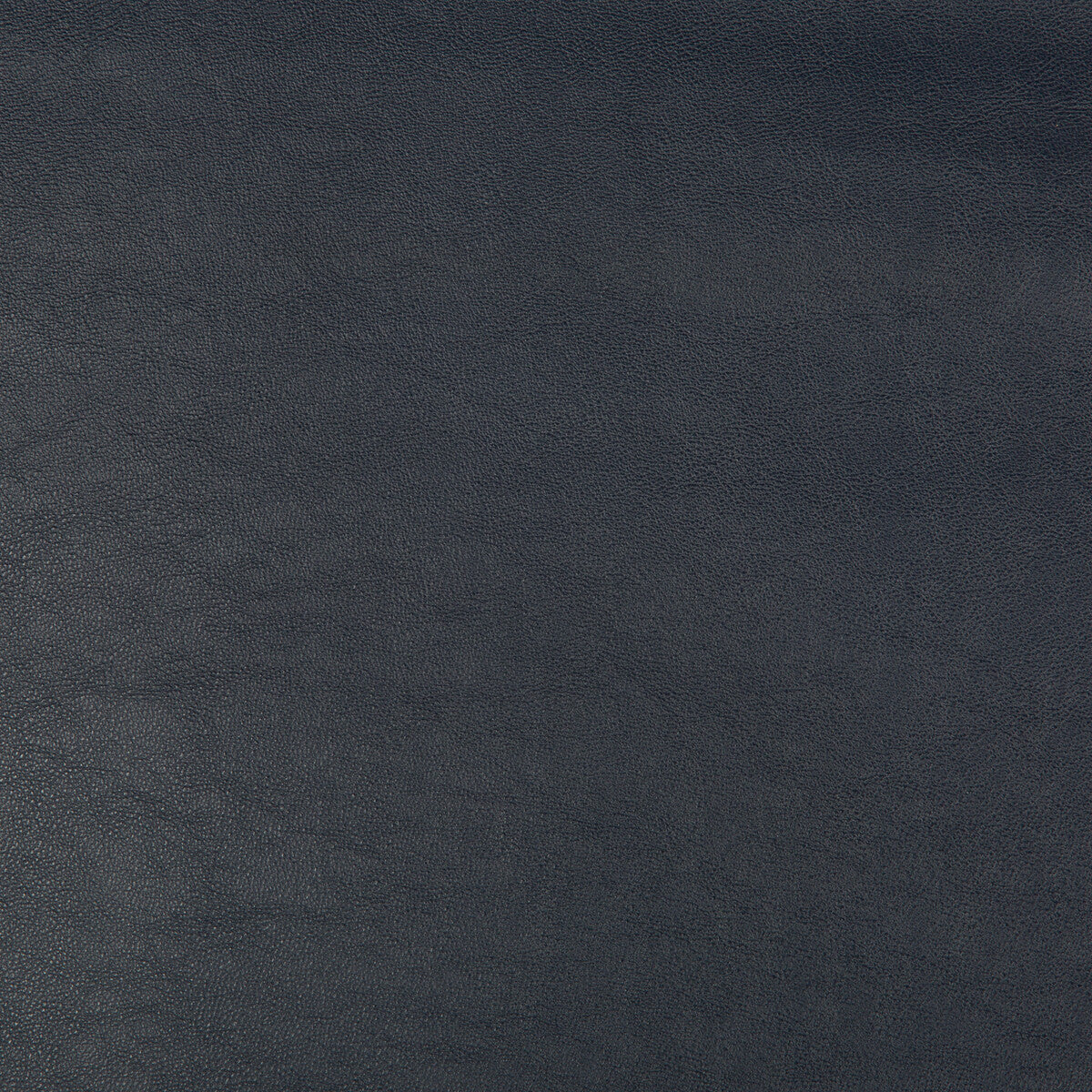 Kravet Design-Swaps-50