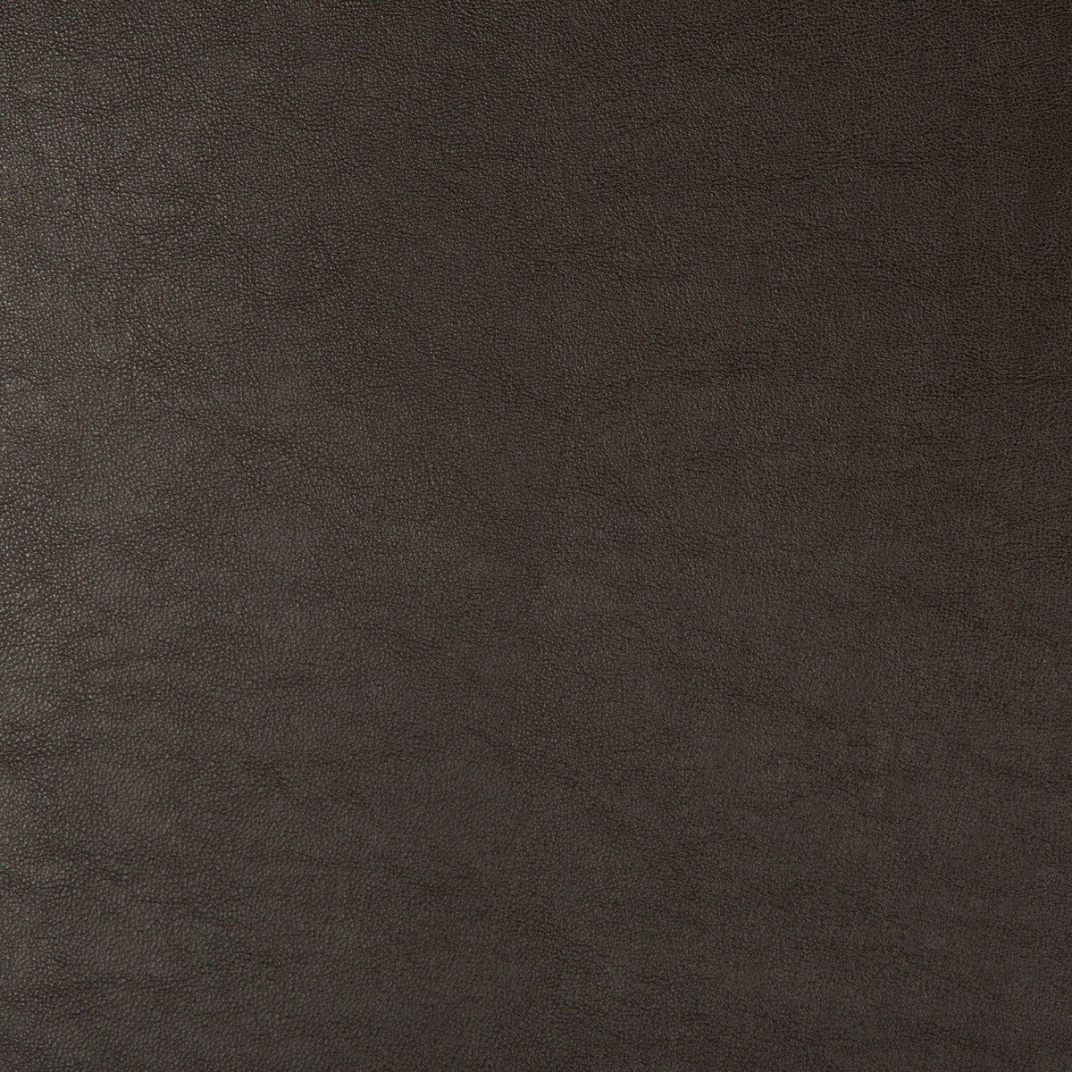 Kravet Design-Swaps-66