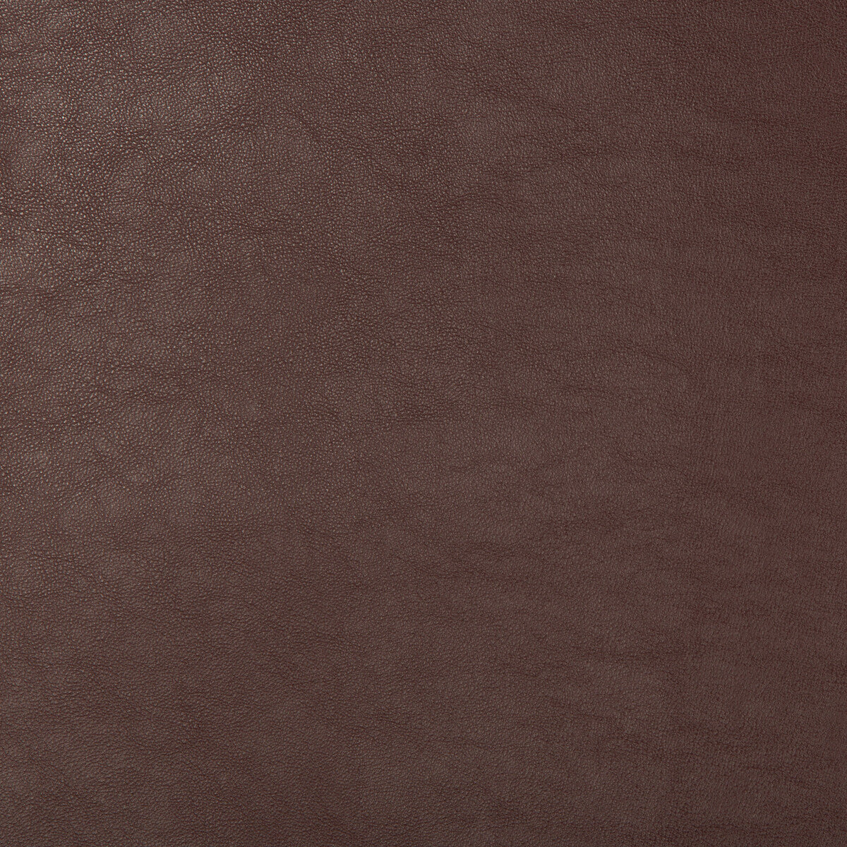 Kravet Design-Swaps-9