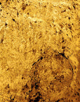 Silver Spark Quartzite Veneer
