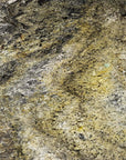 Burning Forest Quartzite Veneer