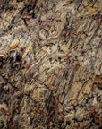 Autumn Slate Veneer