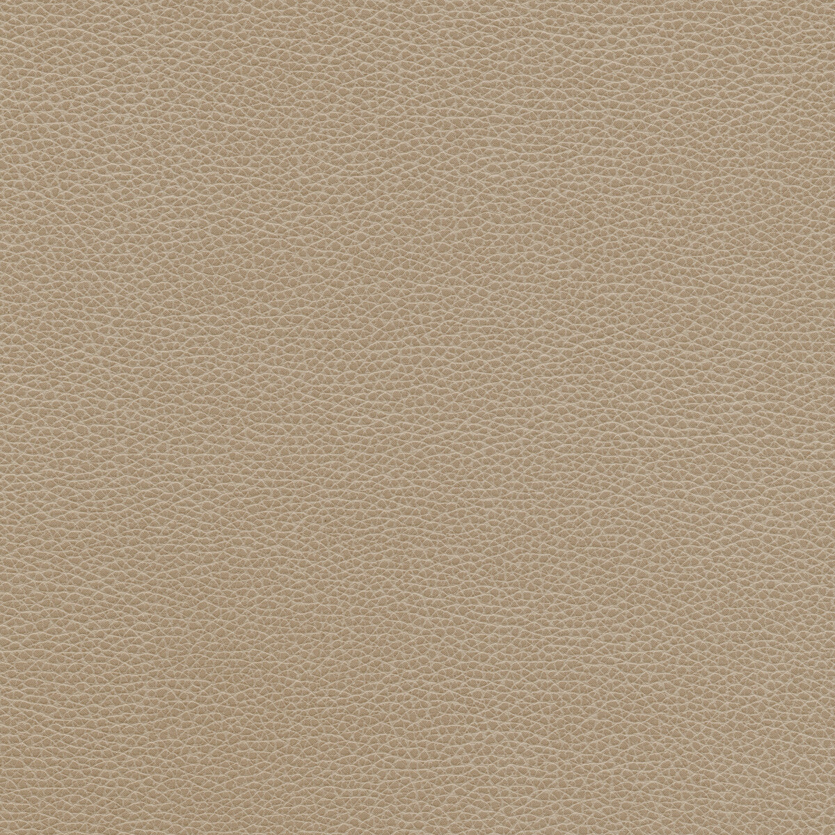 Kravet Design-Tannin-11