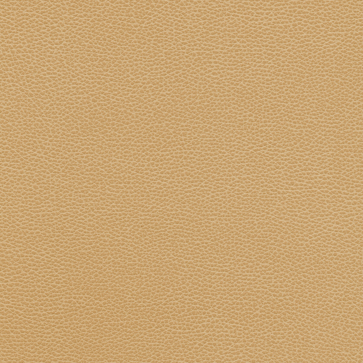 Kravet Design-Tannin-16