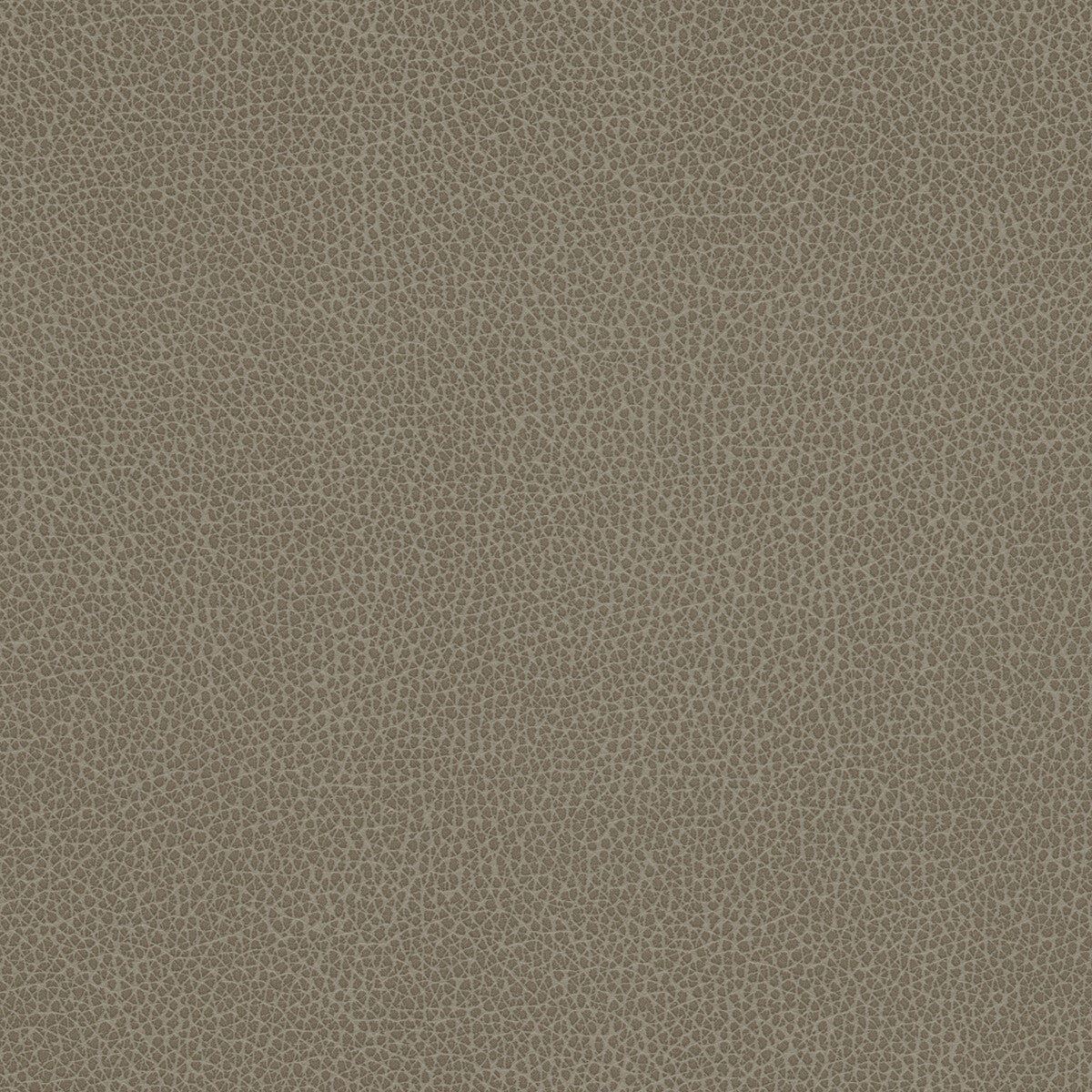 Kravet Design-Tannin-21