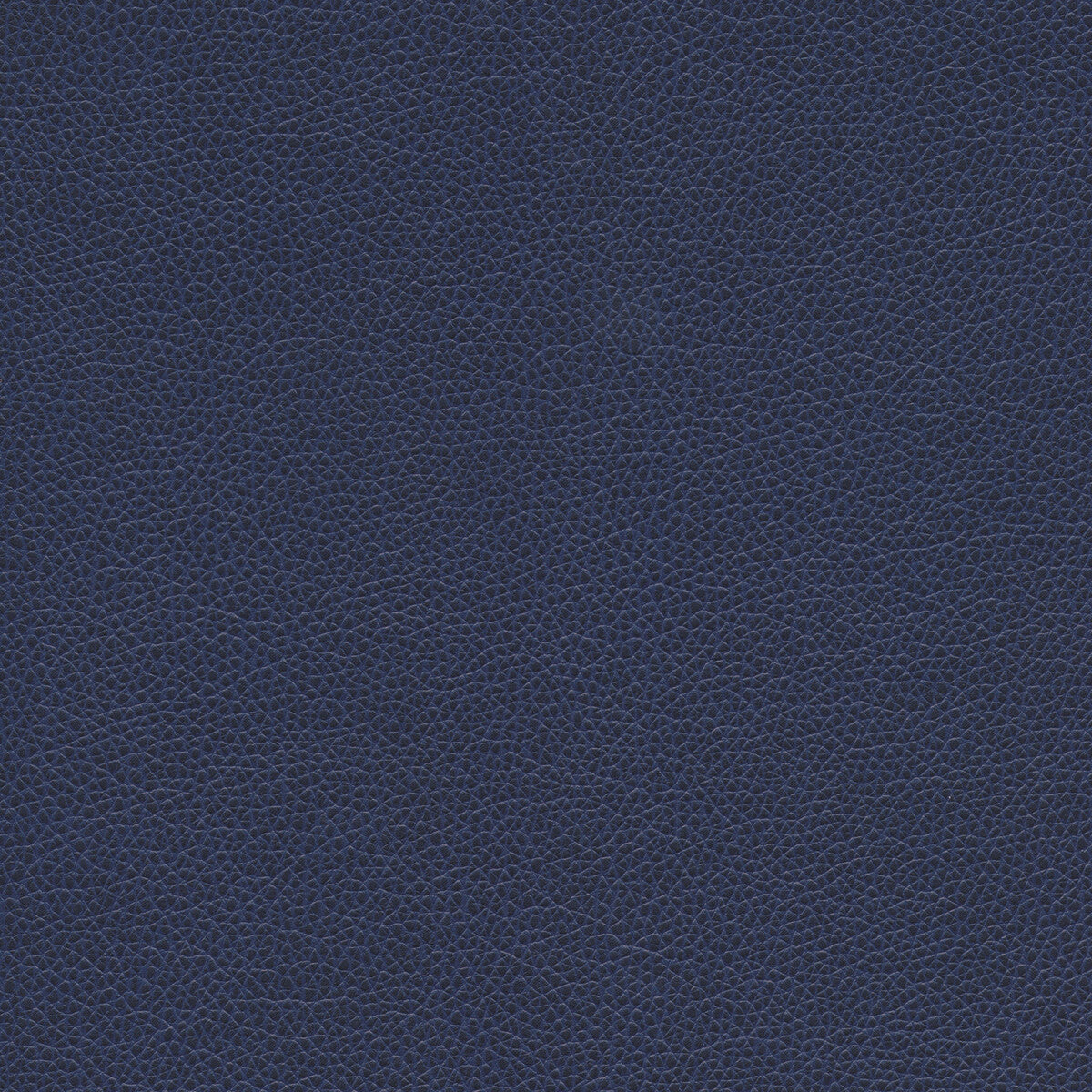 Kravet Design-Tannin-50