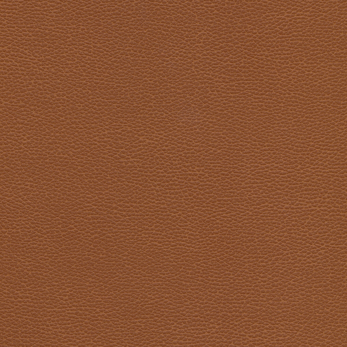 Kravet Design-Tannin-6