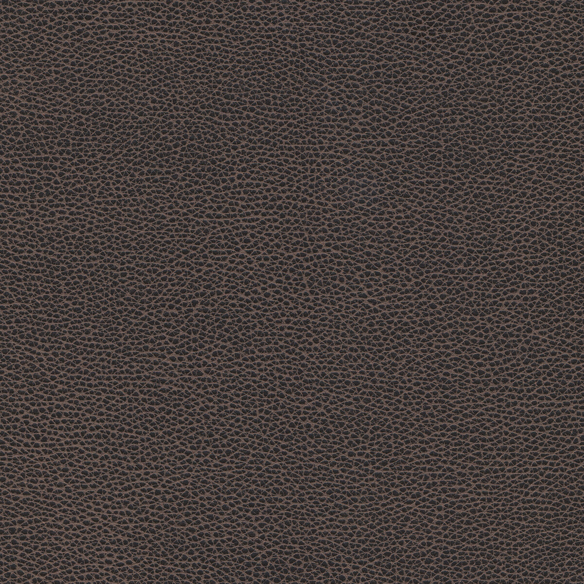 Kravet Design-Tannin-8
