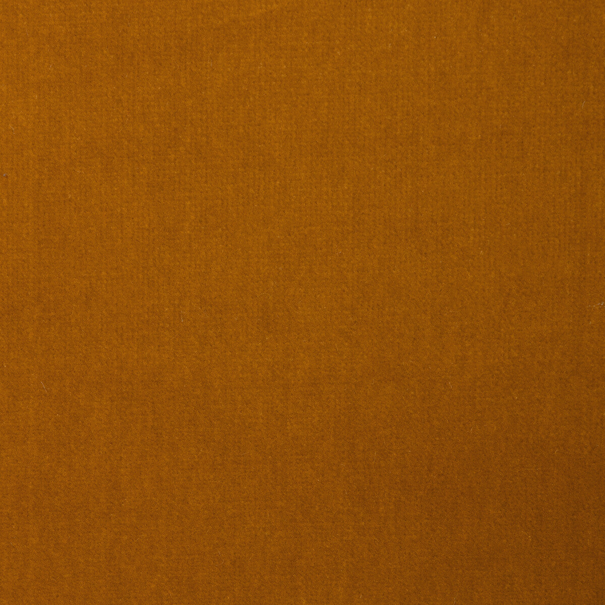 Kravet Design-Versailles-E21485