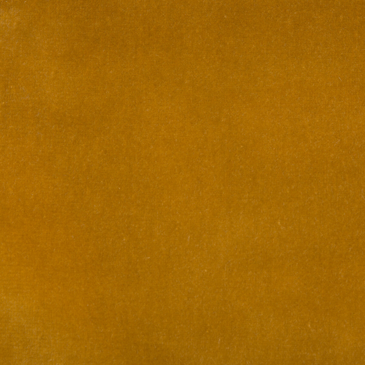 Kravet Design-Versailles-E219010