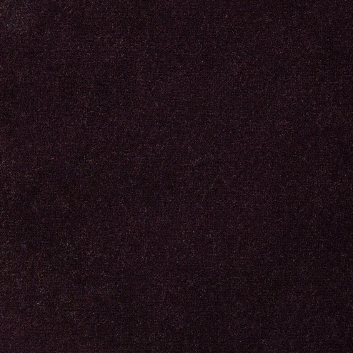 Kravet Design-Versailles-E294020