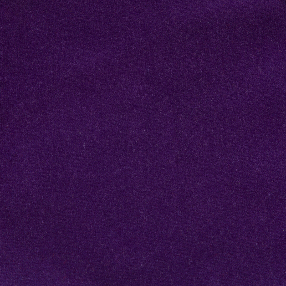 Kravet Design-Versailles-E298010