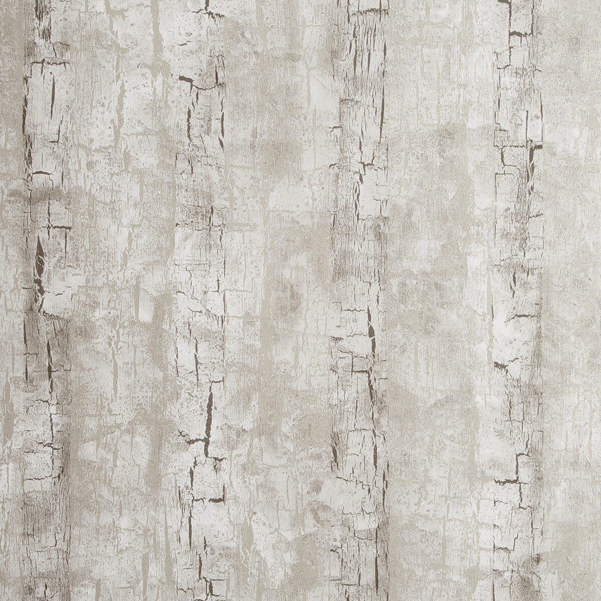 Tree Bark-Birch