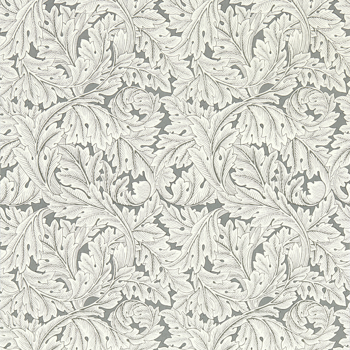 Acanthus Wp-Slate