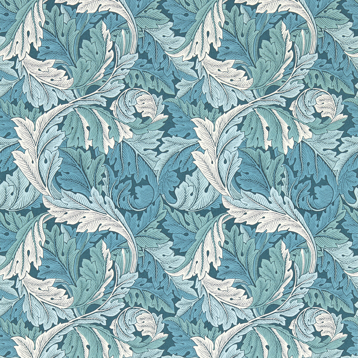 Acanthus Wp-Teal