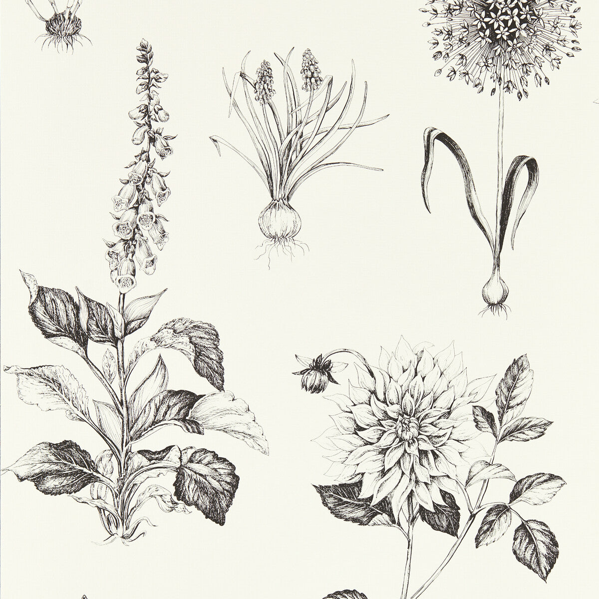 Roseraie-Charcoal Wp