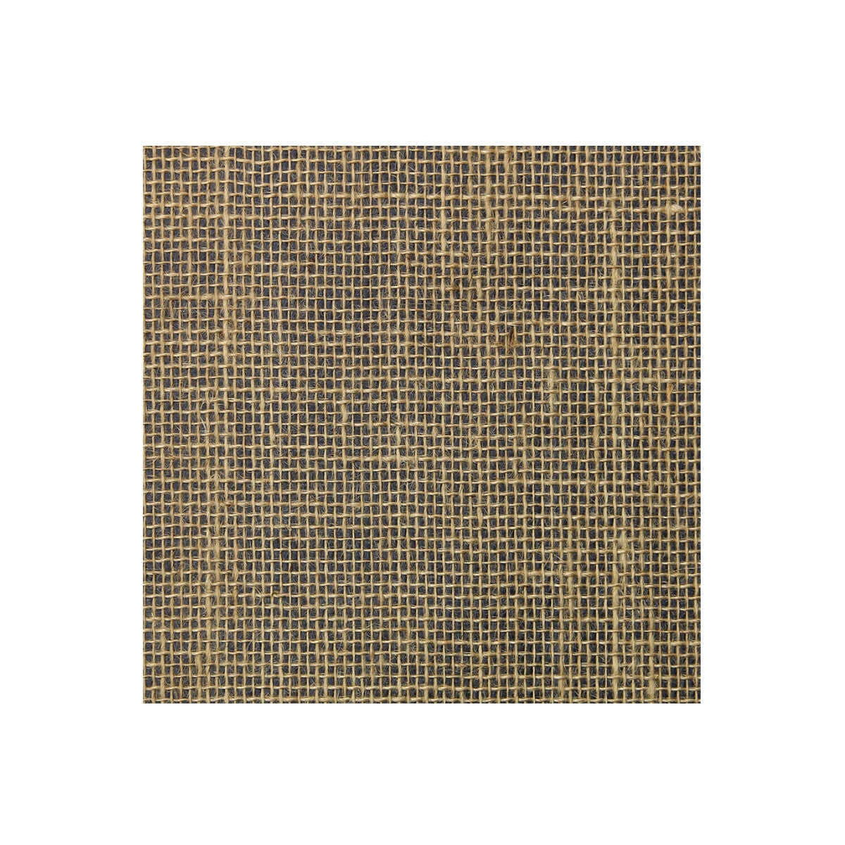 Kravet Design-W4031-816
