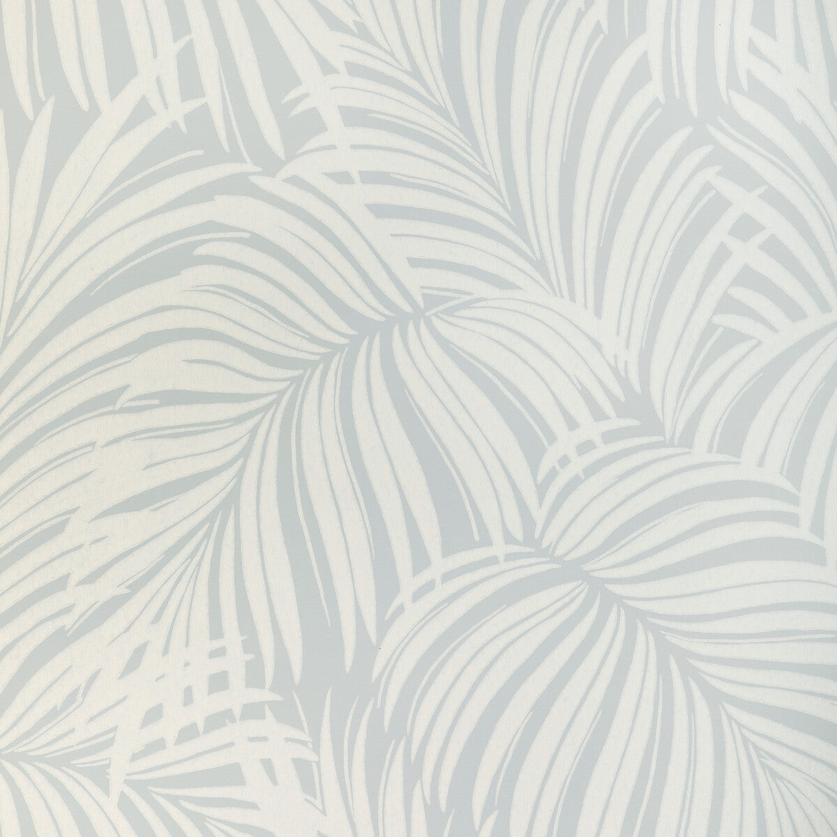 Palm Leaf Wp-Mist