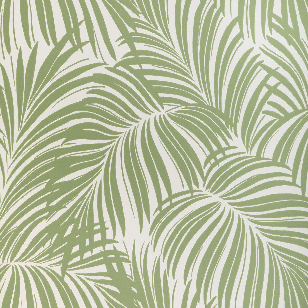 Palm Leaf Wp-Verde