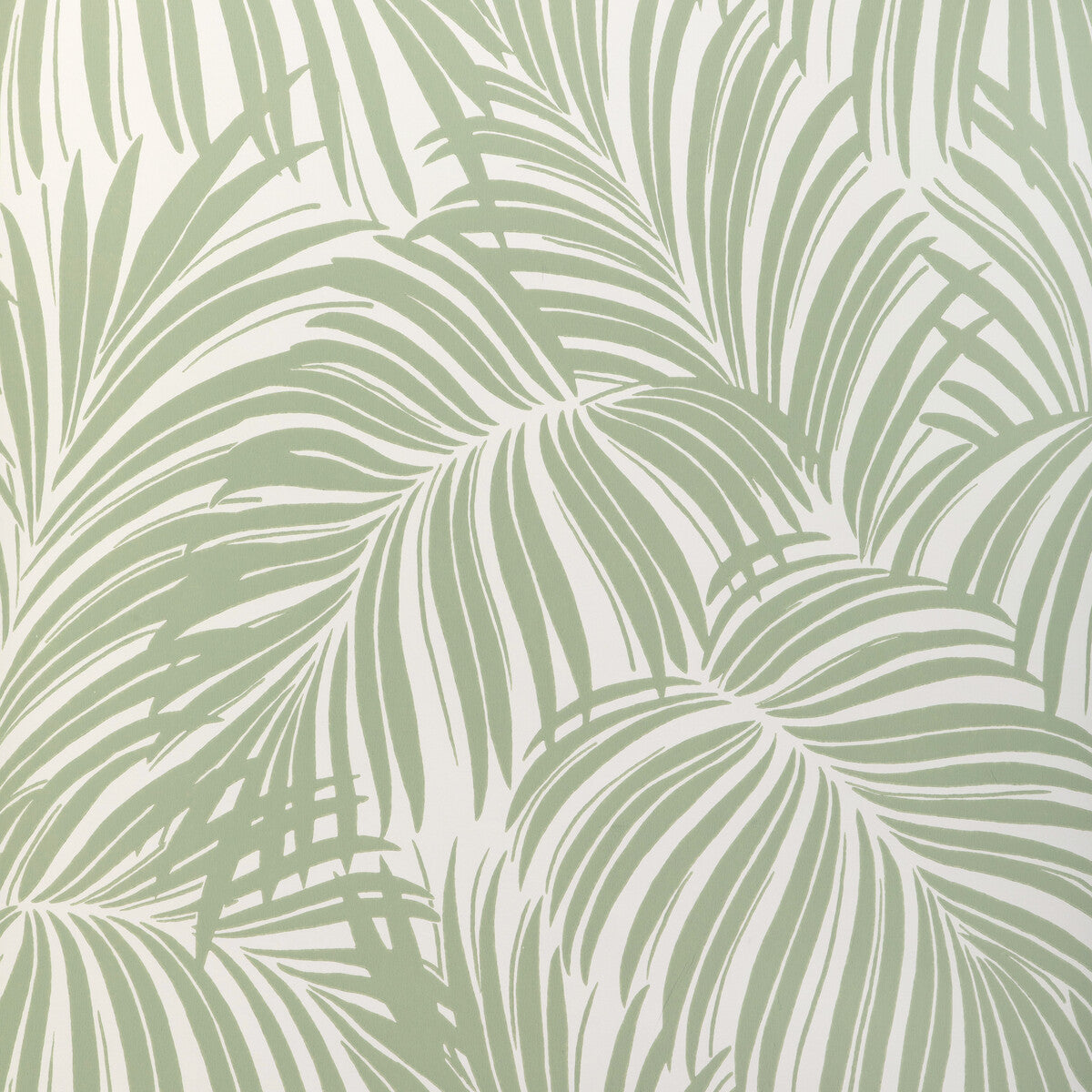 Palm Leaf Wp-Light Green
