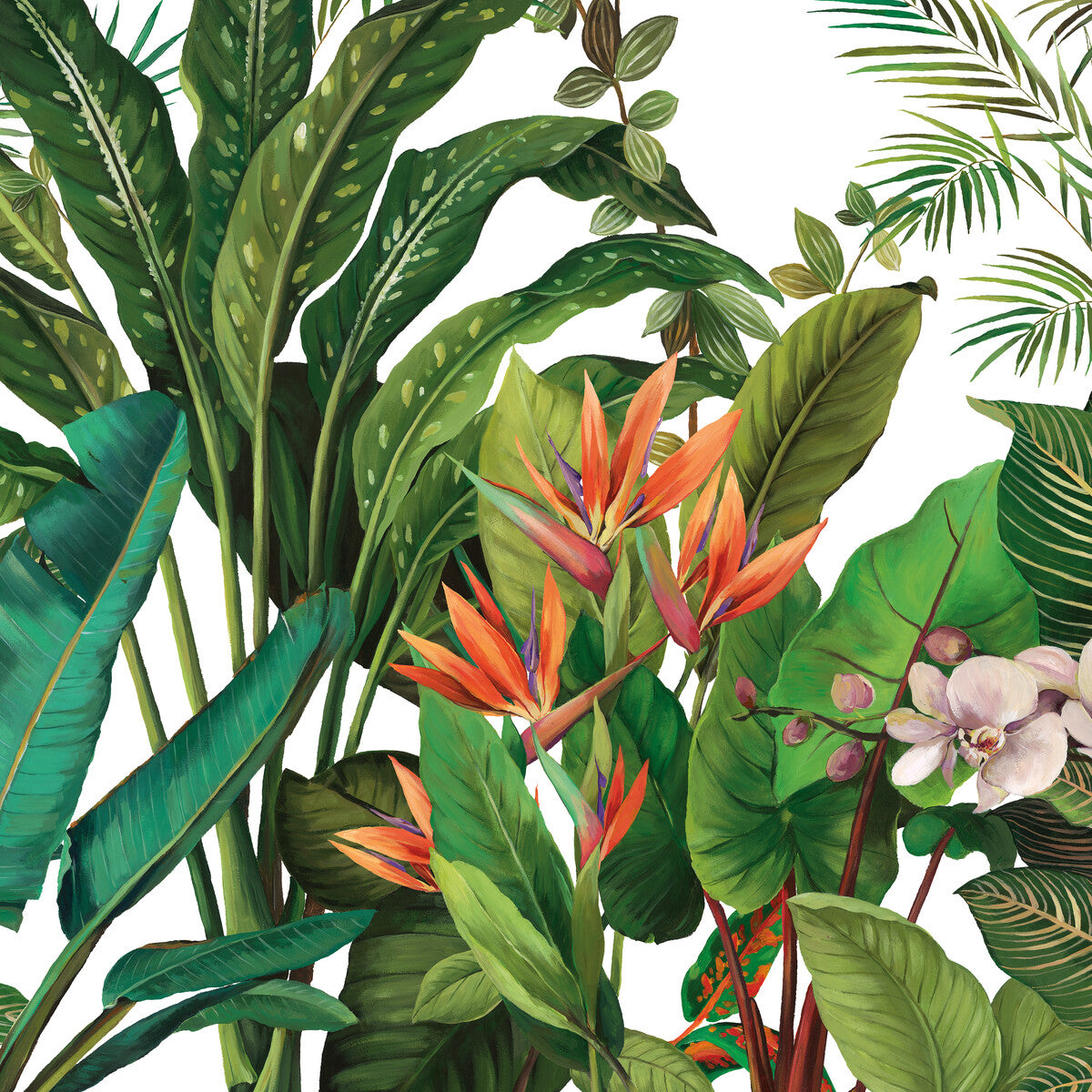 Kravet Design-W4180-312