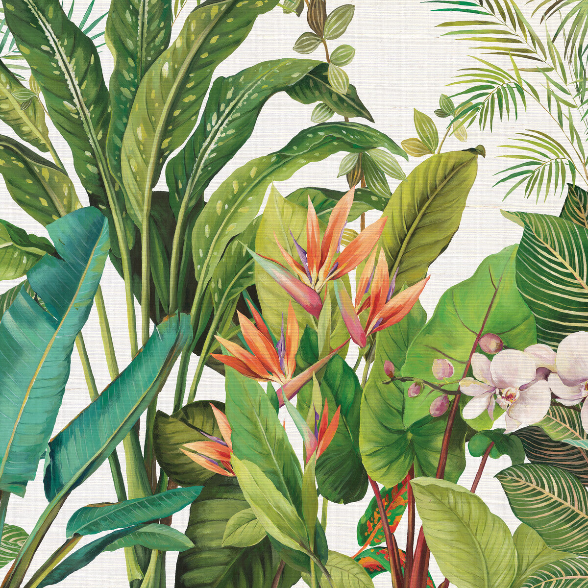 Kravet Design-W4181-312