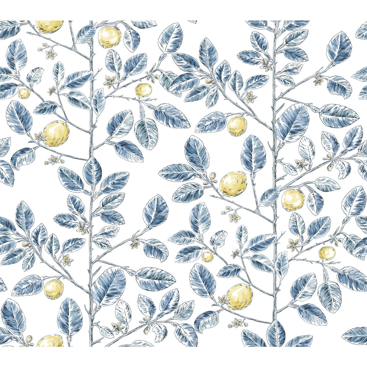 Kravet Design-W4241-540