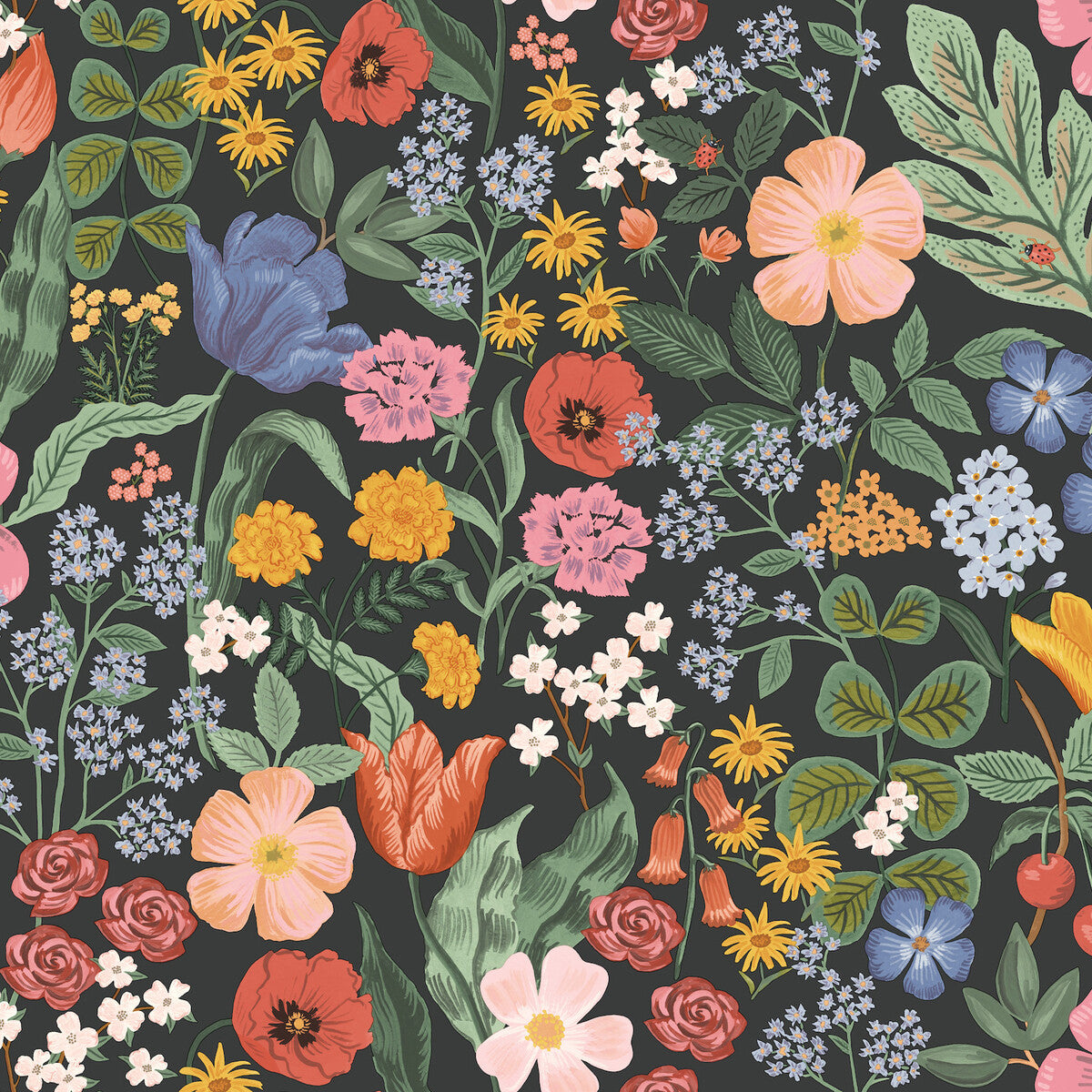 Kravet Design-W4296-817