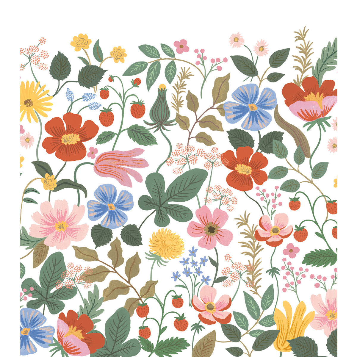 Kravet Design-W4303-517