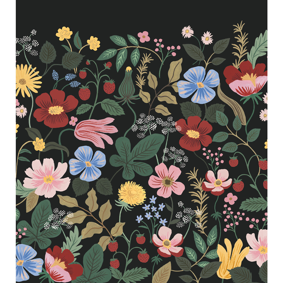 Kravet Design-W4303-817