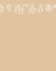 Curio Coral Wallpaper