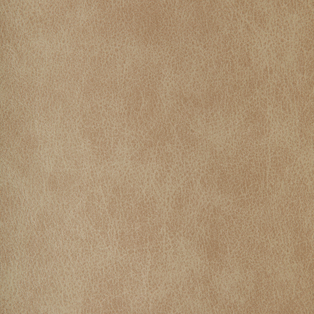 Kravet Design-Zenon-11