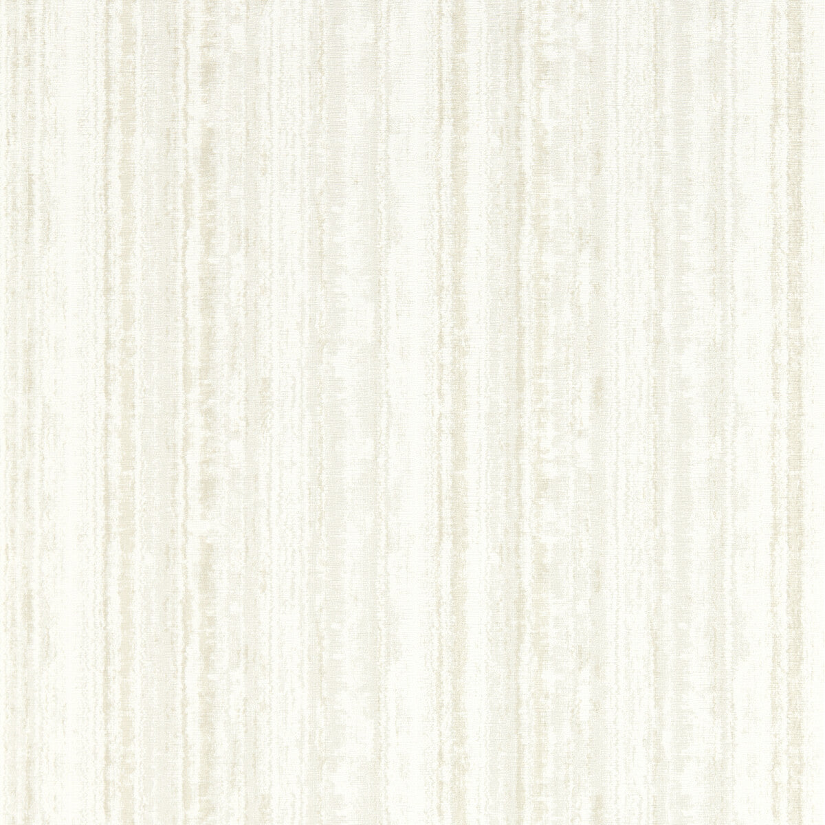 Striatus-Parchment Wp