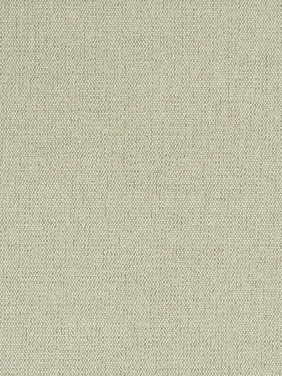Expression-Oyster