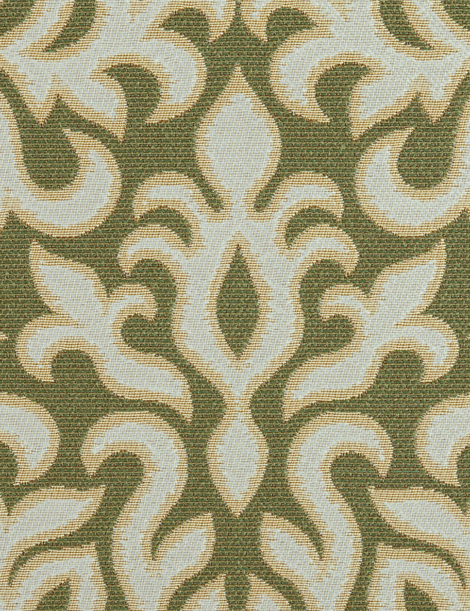 Fine and Dandy-fern
